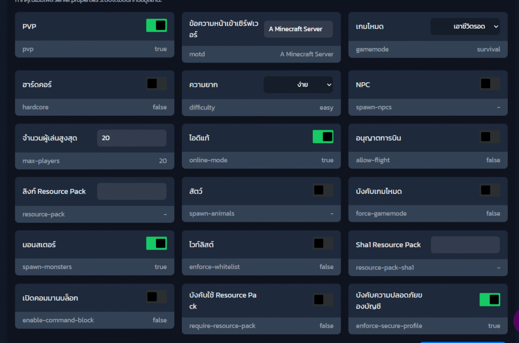 ตั้งค่าเบื้องต้น server.properties 2 image