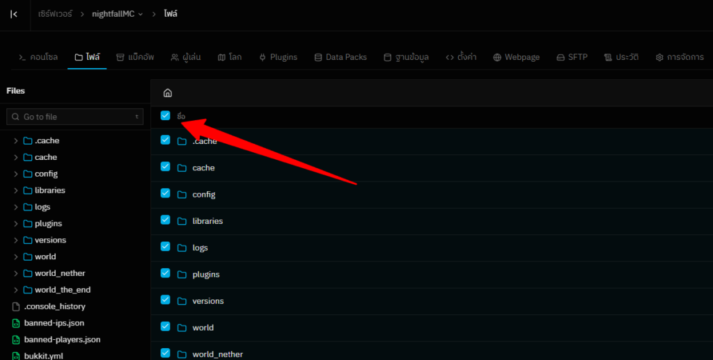 วิธีทำ backup เซิร์ฟด้วยตัวเอง 2 image 4